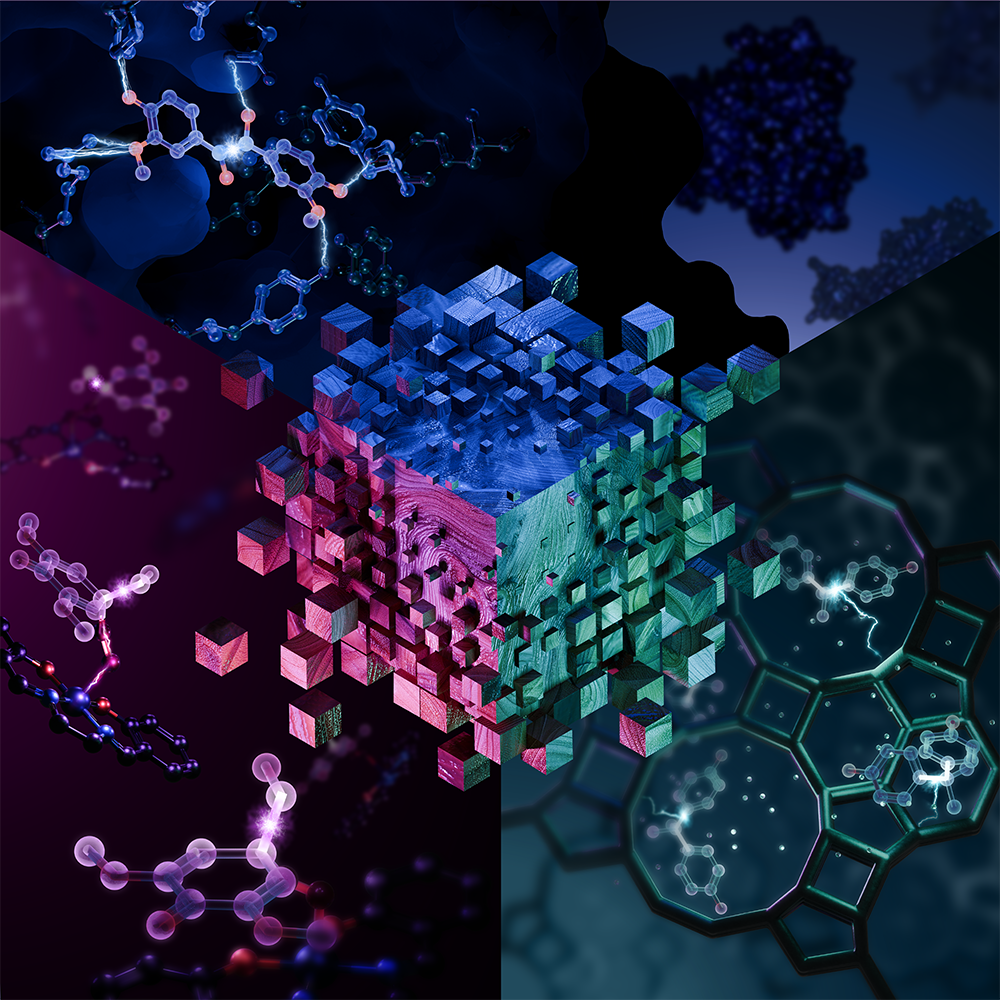 Accessing monomers from lignin through carbon–carbon bond cleavage