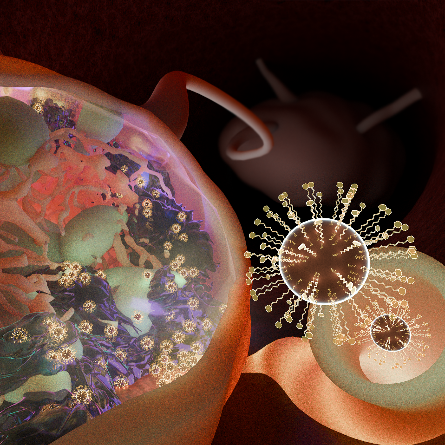 Magnetic particle imaging lymphography (MPIL): a technique for lymph node mapping