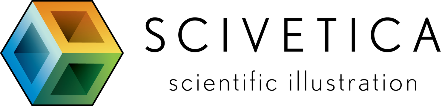 Scivetica