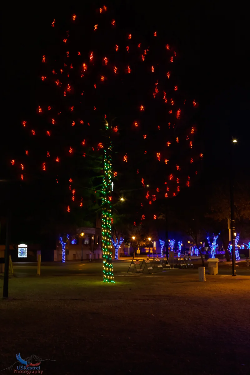 Red Canopy
