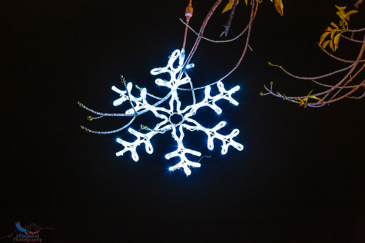 Electric Snowflake