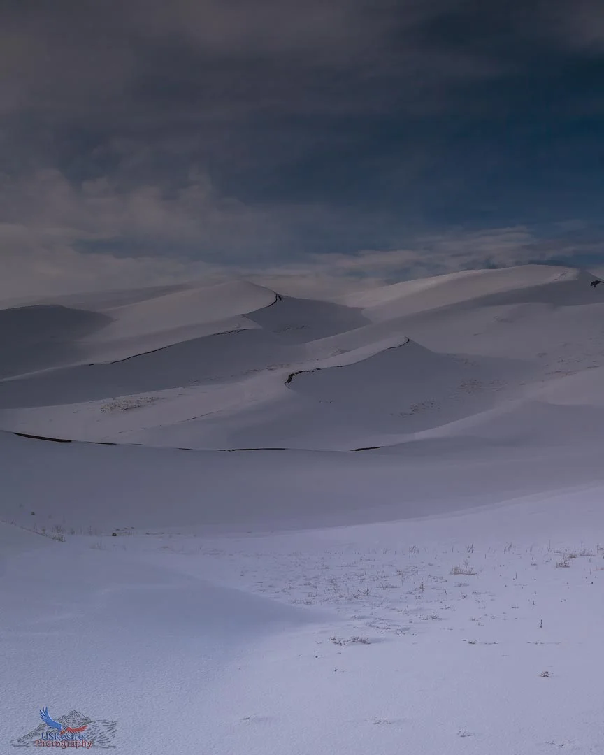 S-is-for-Sand...or-Snow!