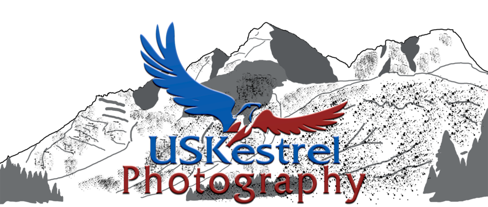 USKestrel Photography