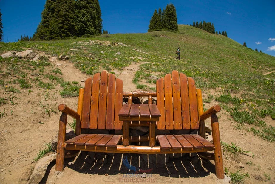 Bill’s Bench - Front view