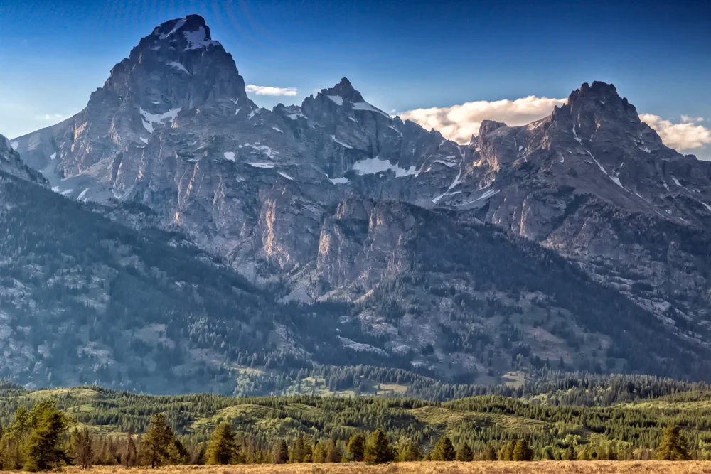 Majestic Teton's