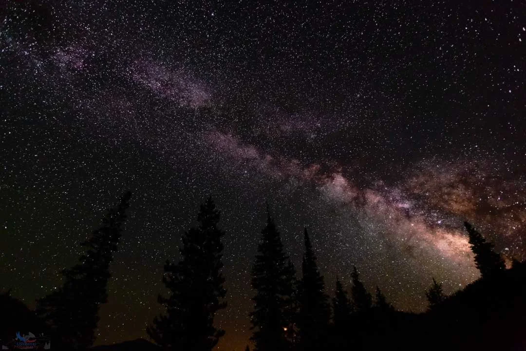 Lights, Camera...Action!