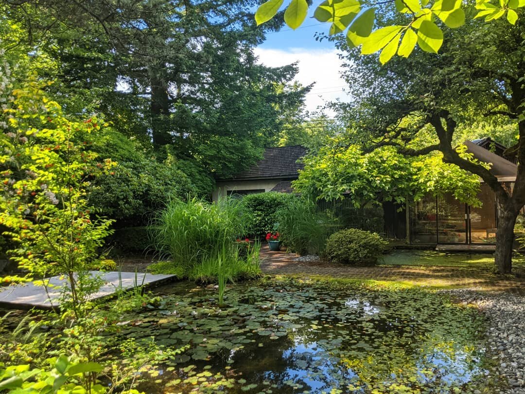 Yesterday was a perfect day to visit Arthur's garden, though any day would be perfect. It's so serene...such a calming experience.  #arthurerickson #gardentour #vancouver #architecture #aef #arthurericksonfoundation #milkovicharch