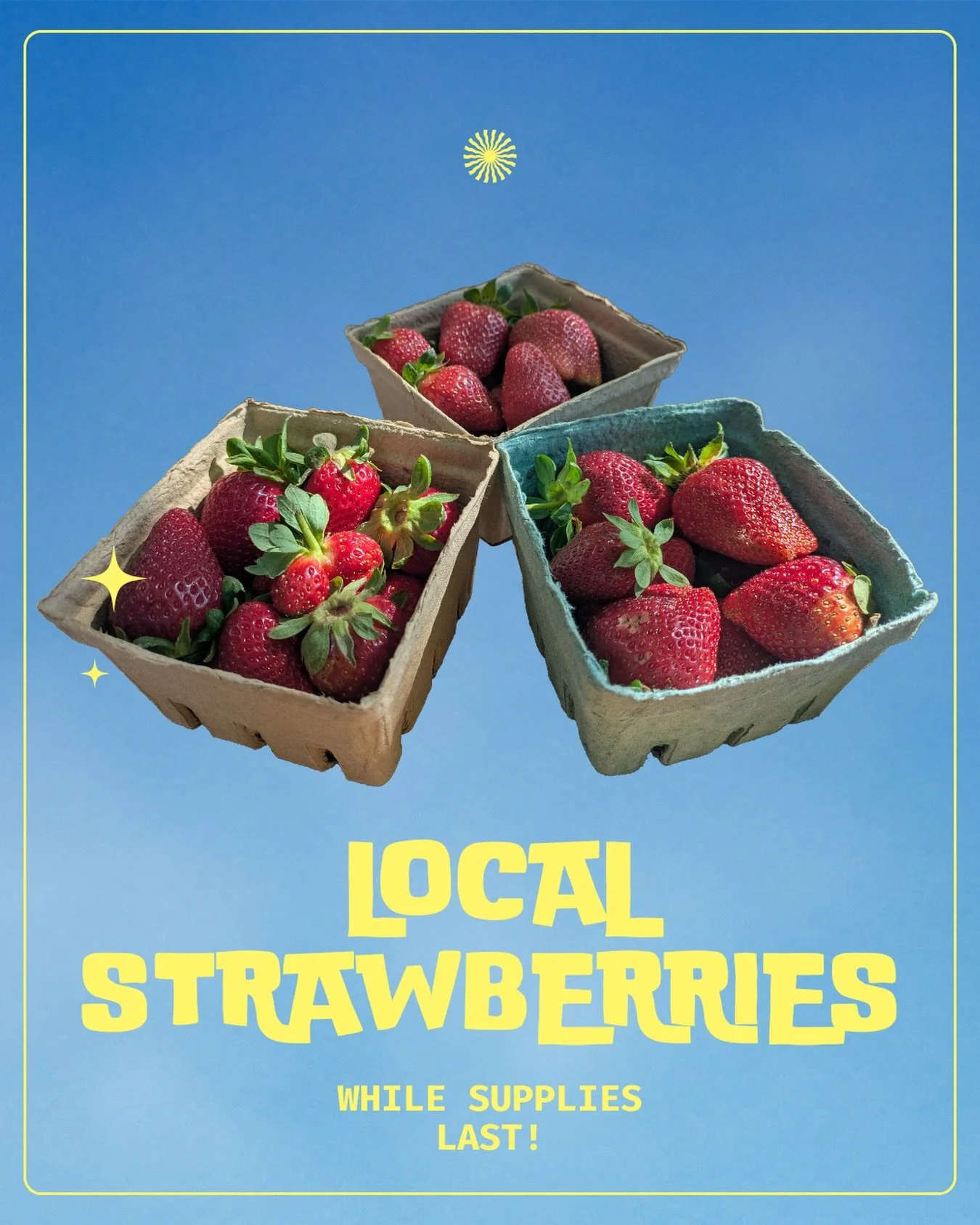 Sweet, delicious, and best of all&hellip;local. 🍓Come in and get them quick! #shoplocal