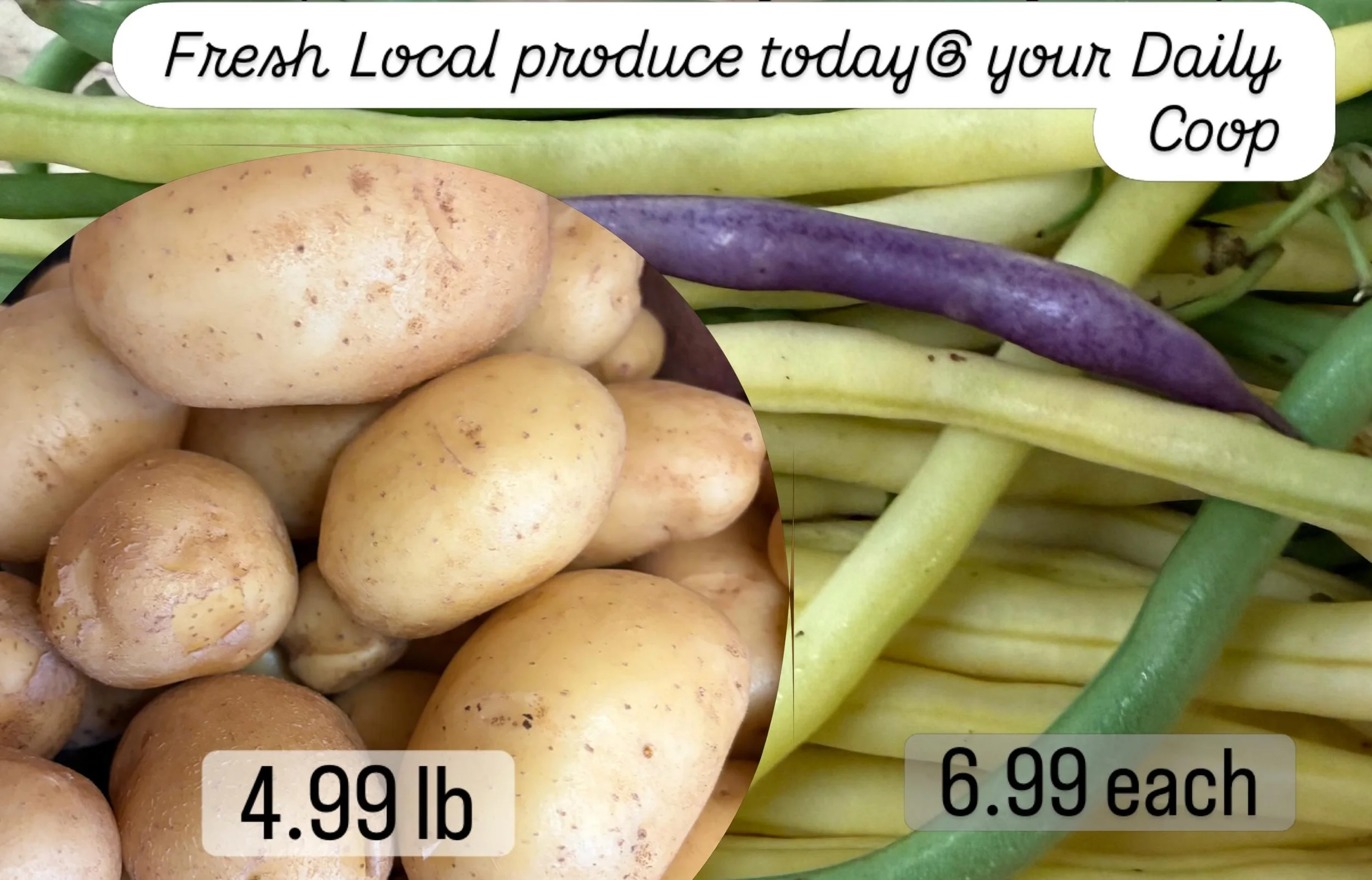 Just  in today!  Golden New Potatoes and Multicolor Green Beans!
