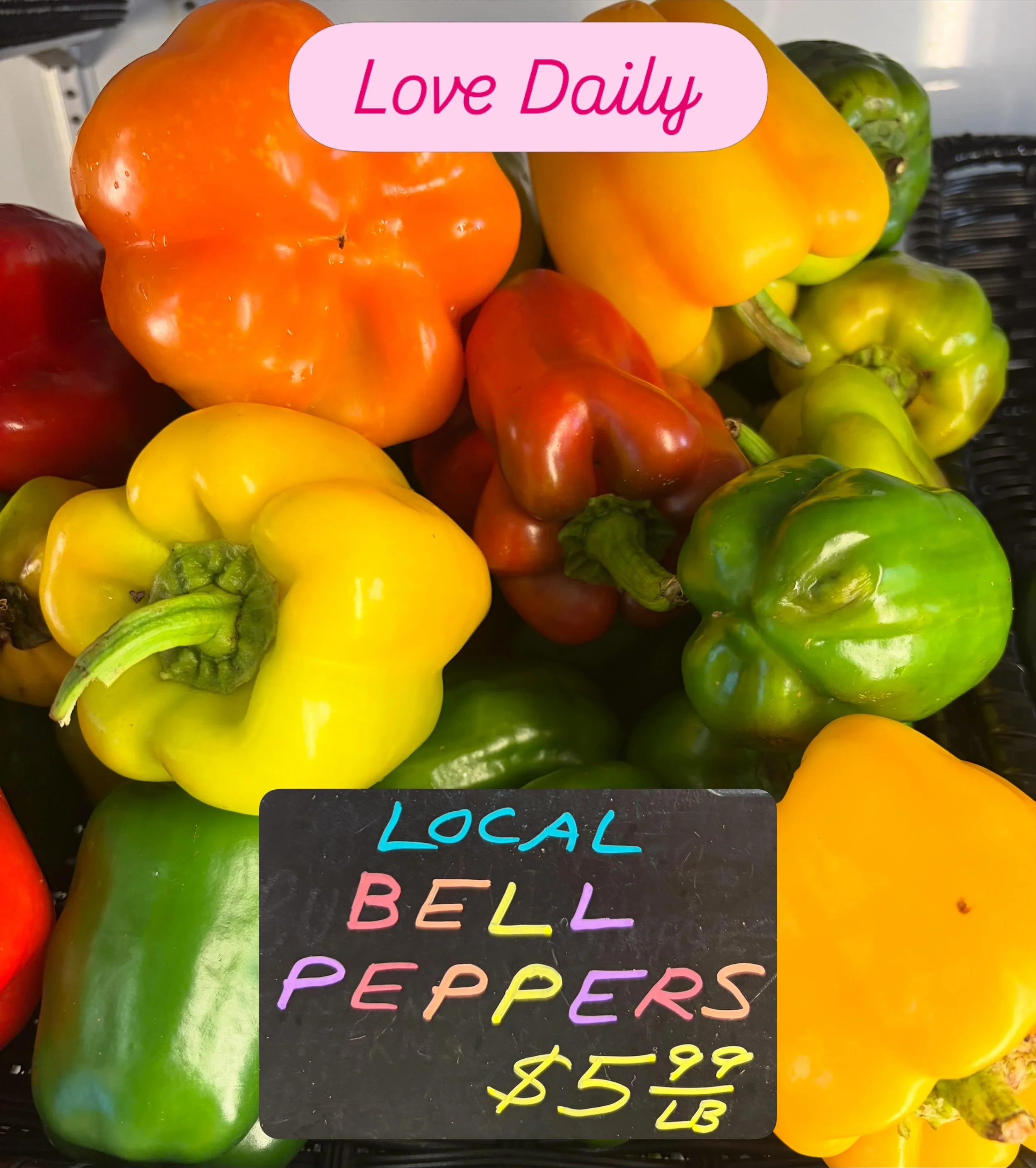 Come see us at the Daily Co-op! Lots of local produce including tomatoes, okra, shishito and more! Make shopping fun again!
