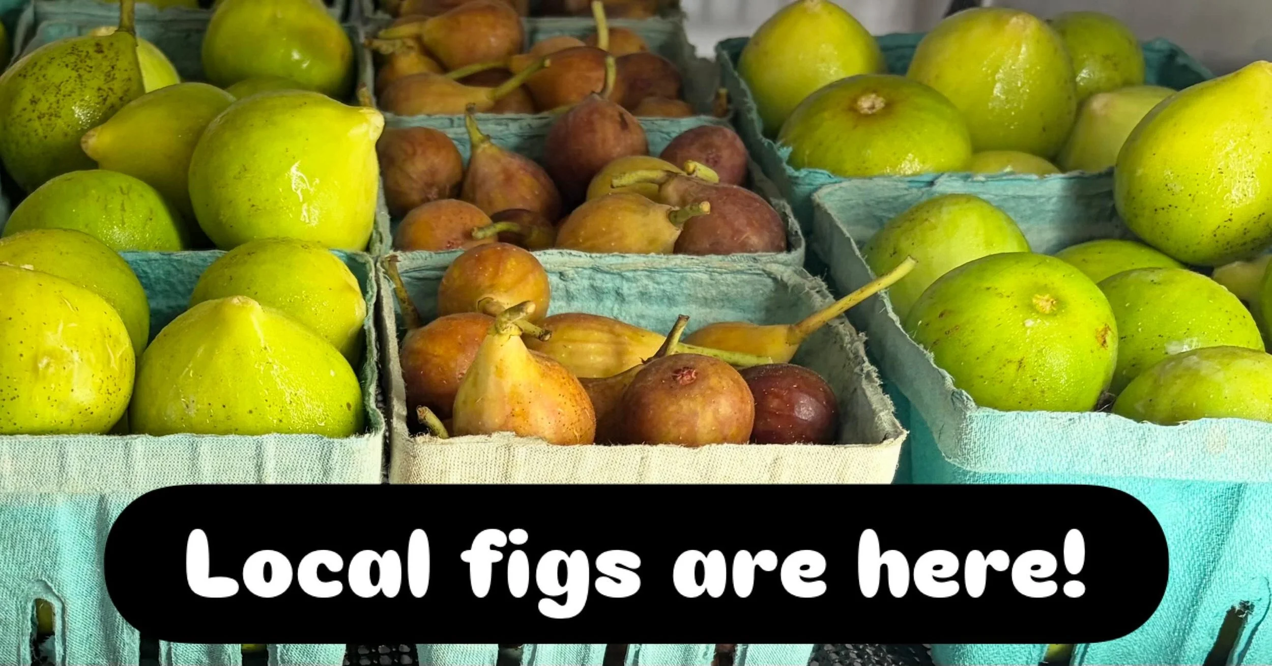 Figs from Foster Brady/Sundance Farms are in the store this week!
Come see our bountiful harvest of organic produce! Make shopping fun again!