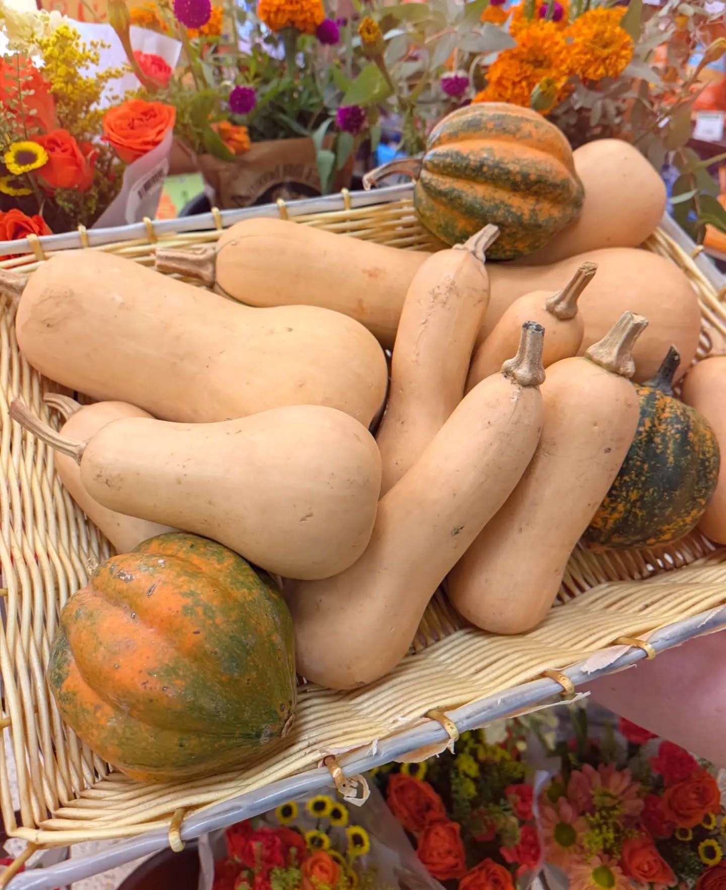 Sample Saturday continues today at Daily with some autumnal roasted butternut and acorn squash, locally grown! Stop by from 1-3pm to try some!