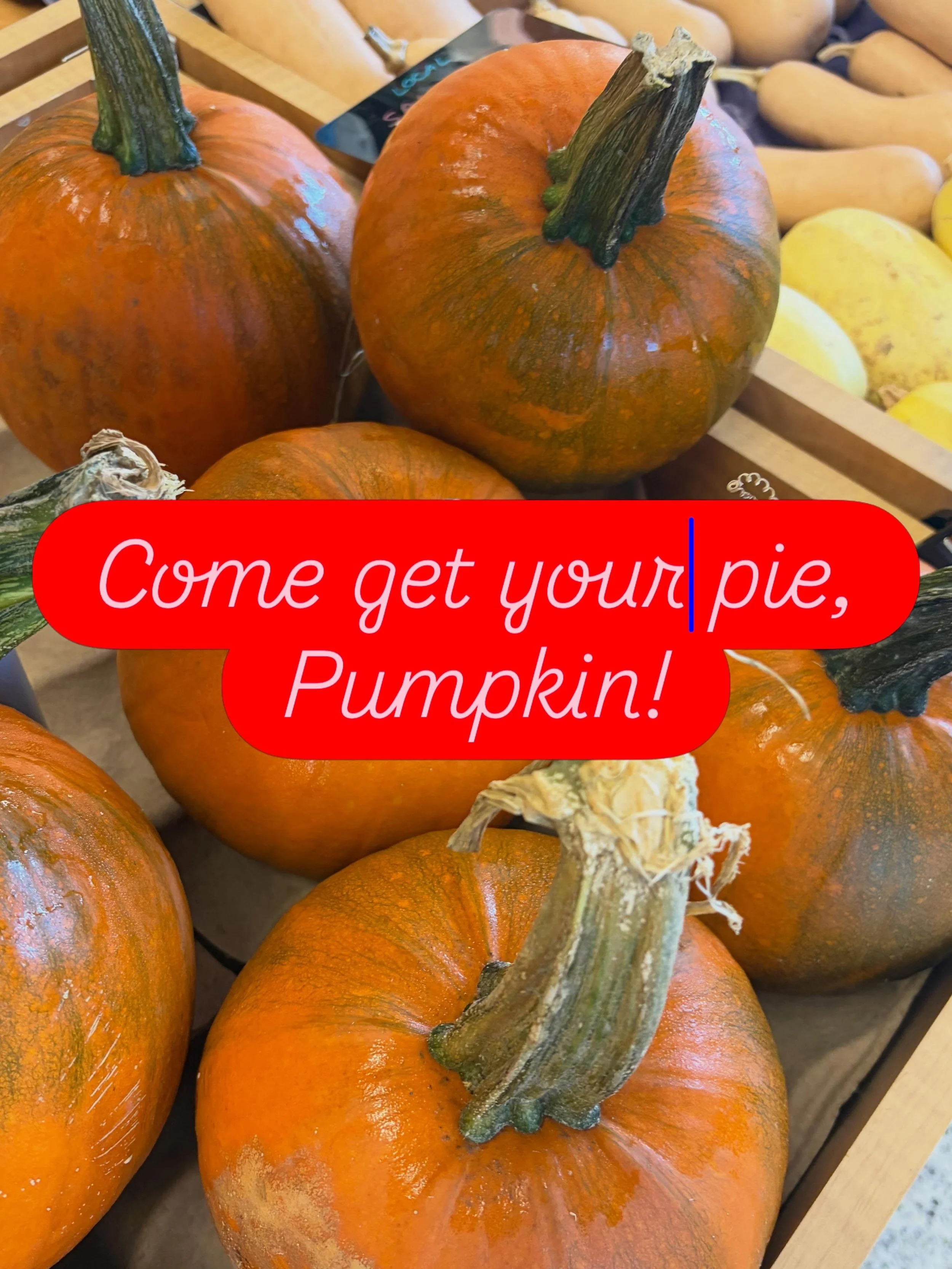 The Daily is getting ready for the season with you! Look at these local pie pumpkins! $1.99 per lb.!