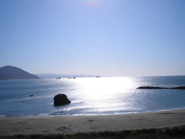 Choosing New Thoughts Guided Meditation (Digital Download)