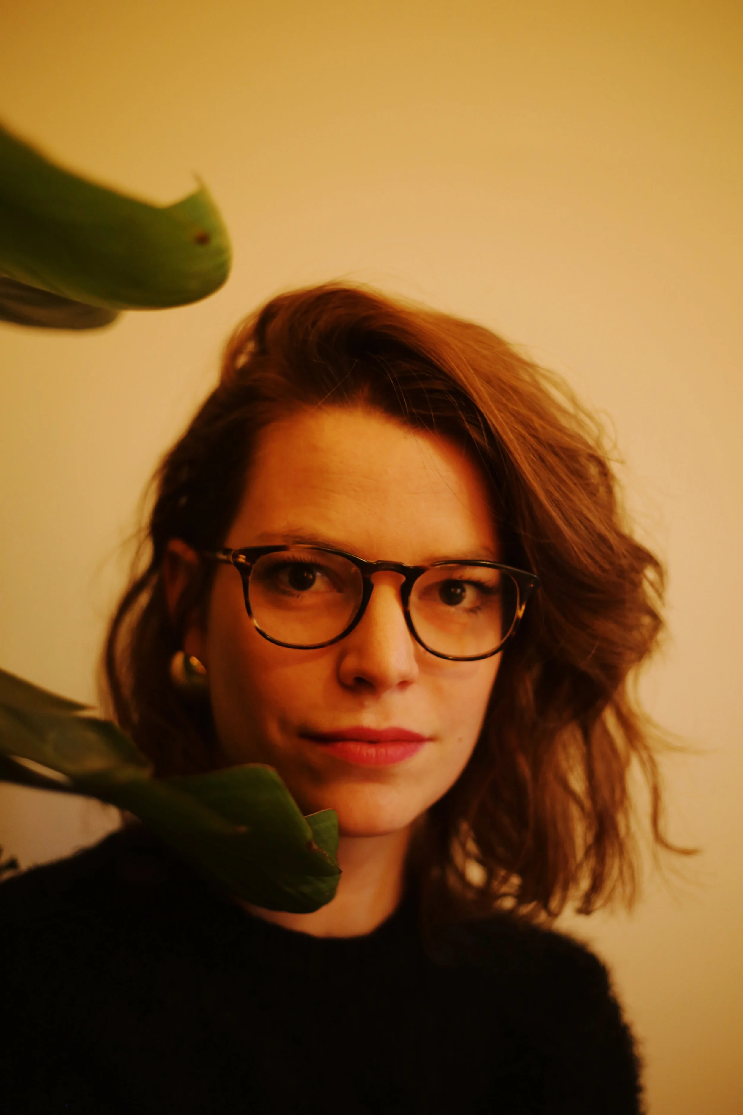 Find Little Pieces in Your Life That Bring You Joy — Dominique Dorais