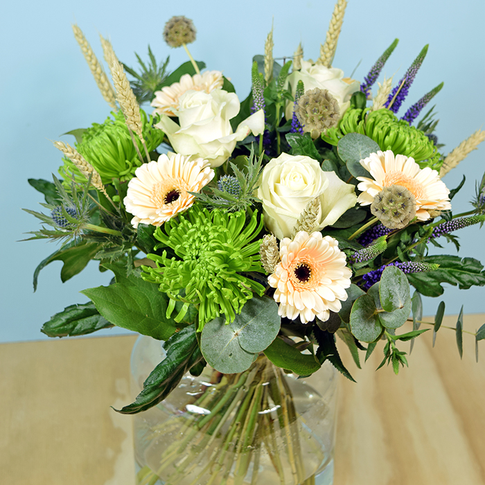 Cafe Sure in Vase