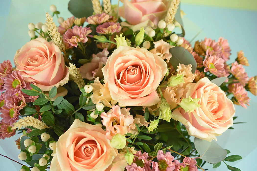 Apricot Roses