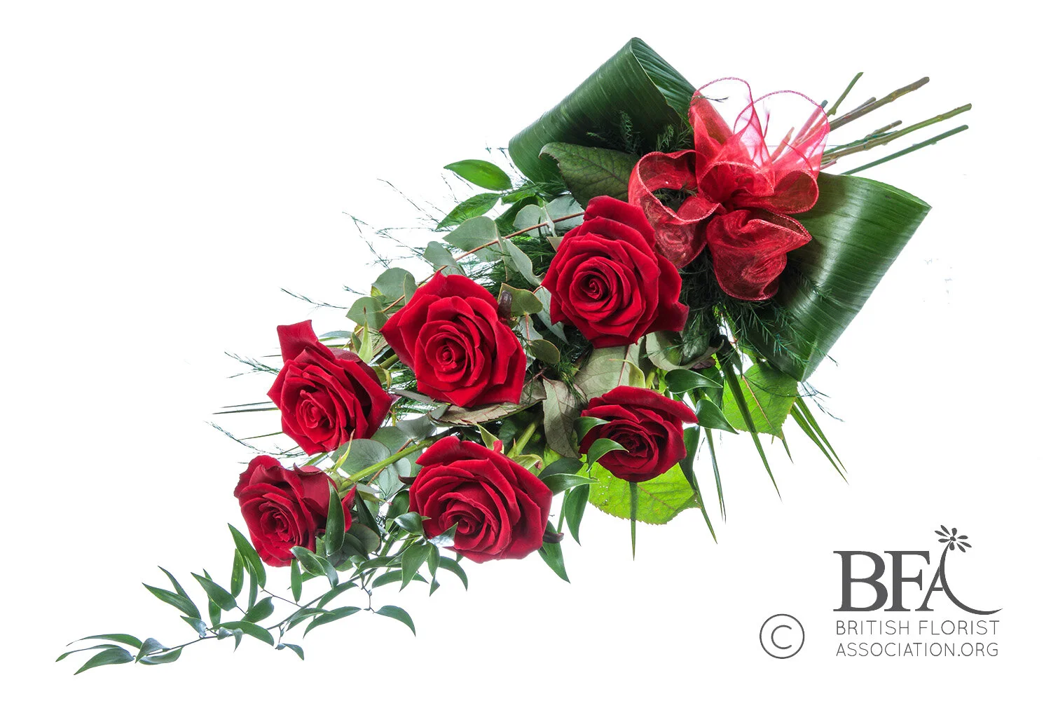 Dozen Red Rose Sheaf — Born to Bloom with Lansdowne Florist