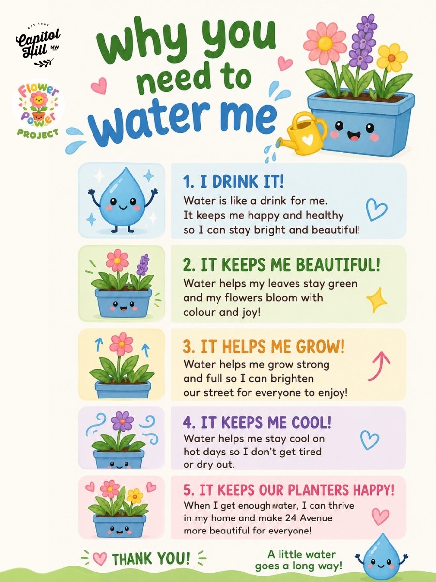 Why water me.jpg