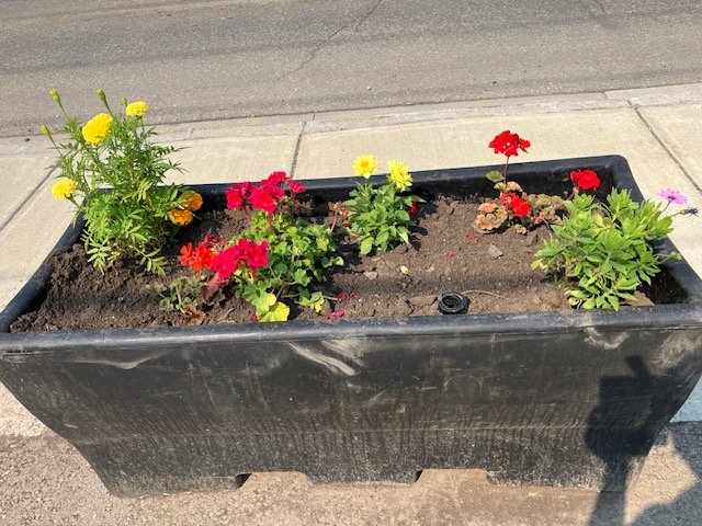 Flower Power Project