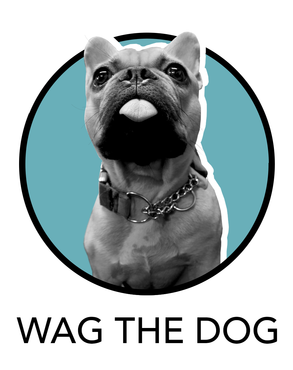 How Much Do Dog Walkers Make On Wag