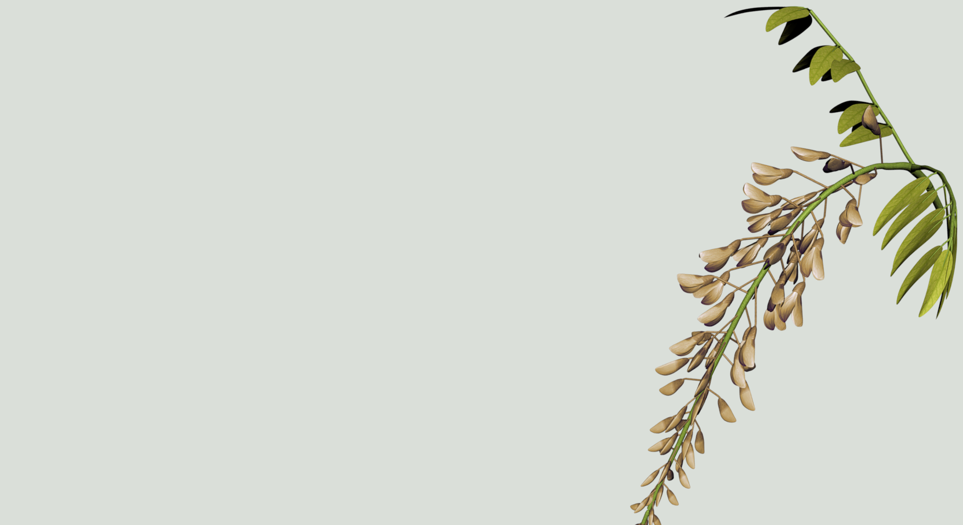 Kabouterbos - stories - coming soon (2).png