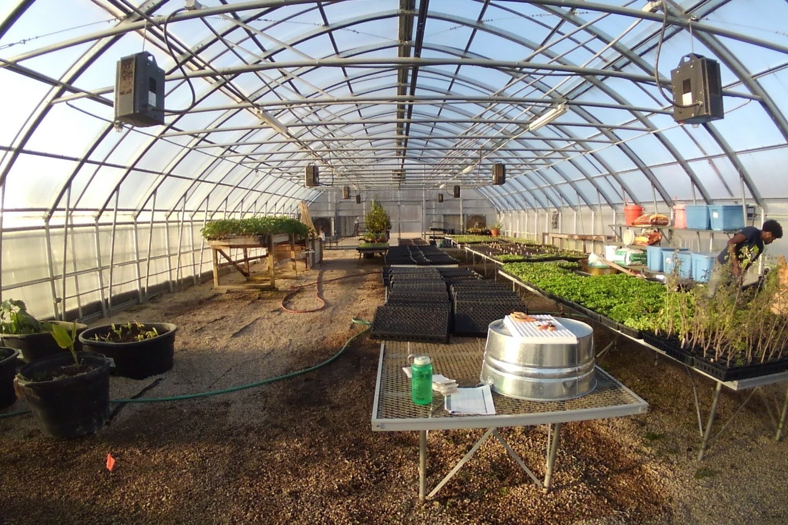 We Over Me farm greenhouse