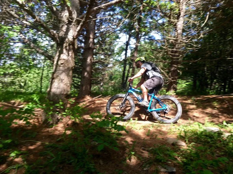 Day Tripper of Duluth - 2 hour, 2 person bike tour 