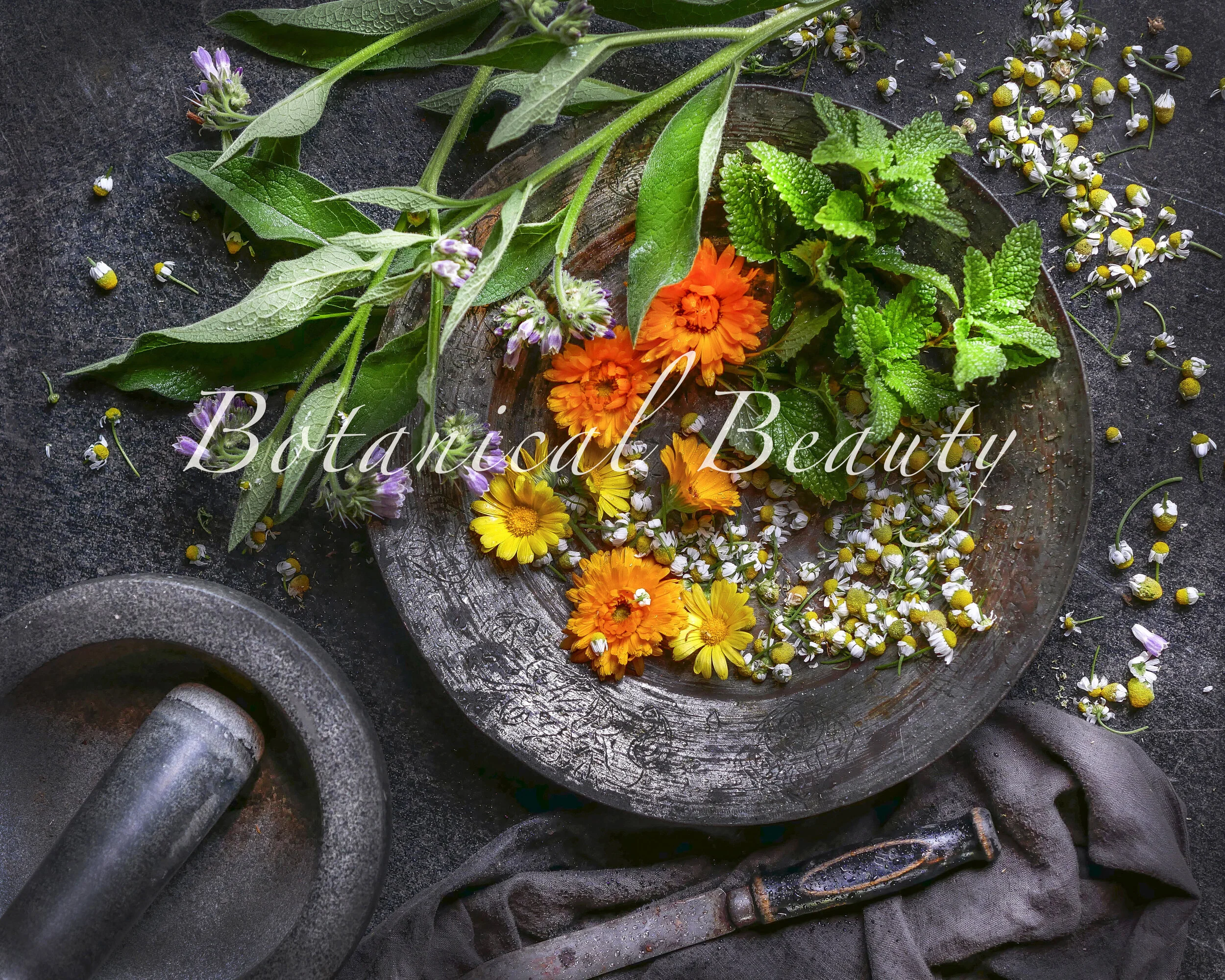 BOTANICALS FINAL.jpg