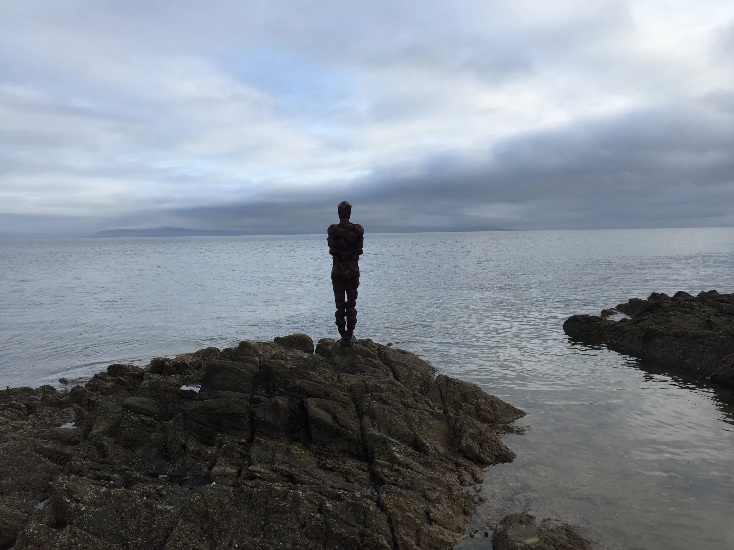 conservation — BOWMAN STEWART