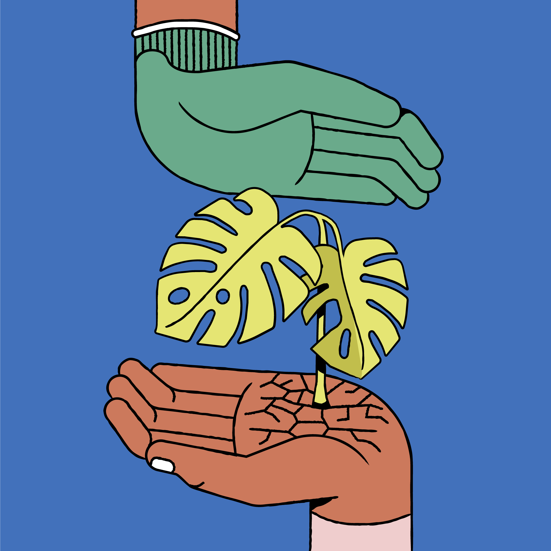 Observation-Kit-Leaf.png