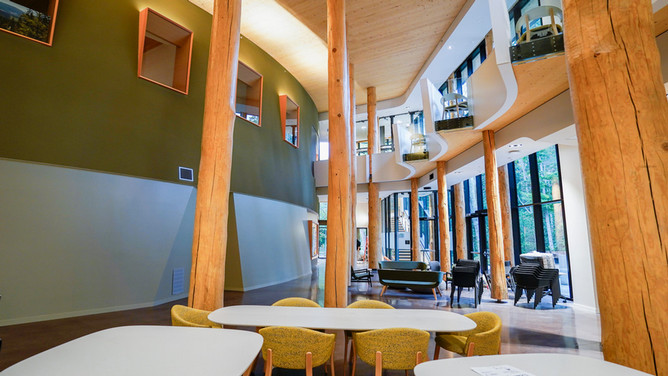 Corridors &amp; Common Areas