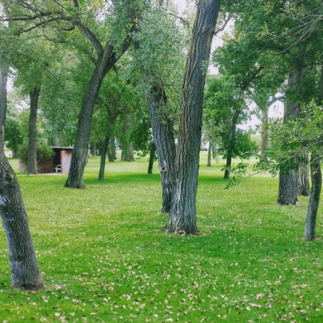 Day 3: a rest stop in Nebraska