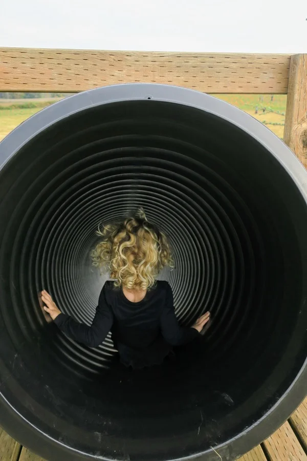 Weekly Update: 10/7 - 10/13