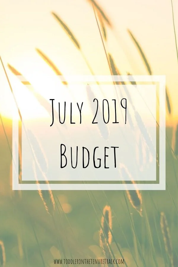 July 2019 Budget