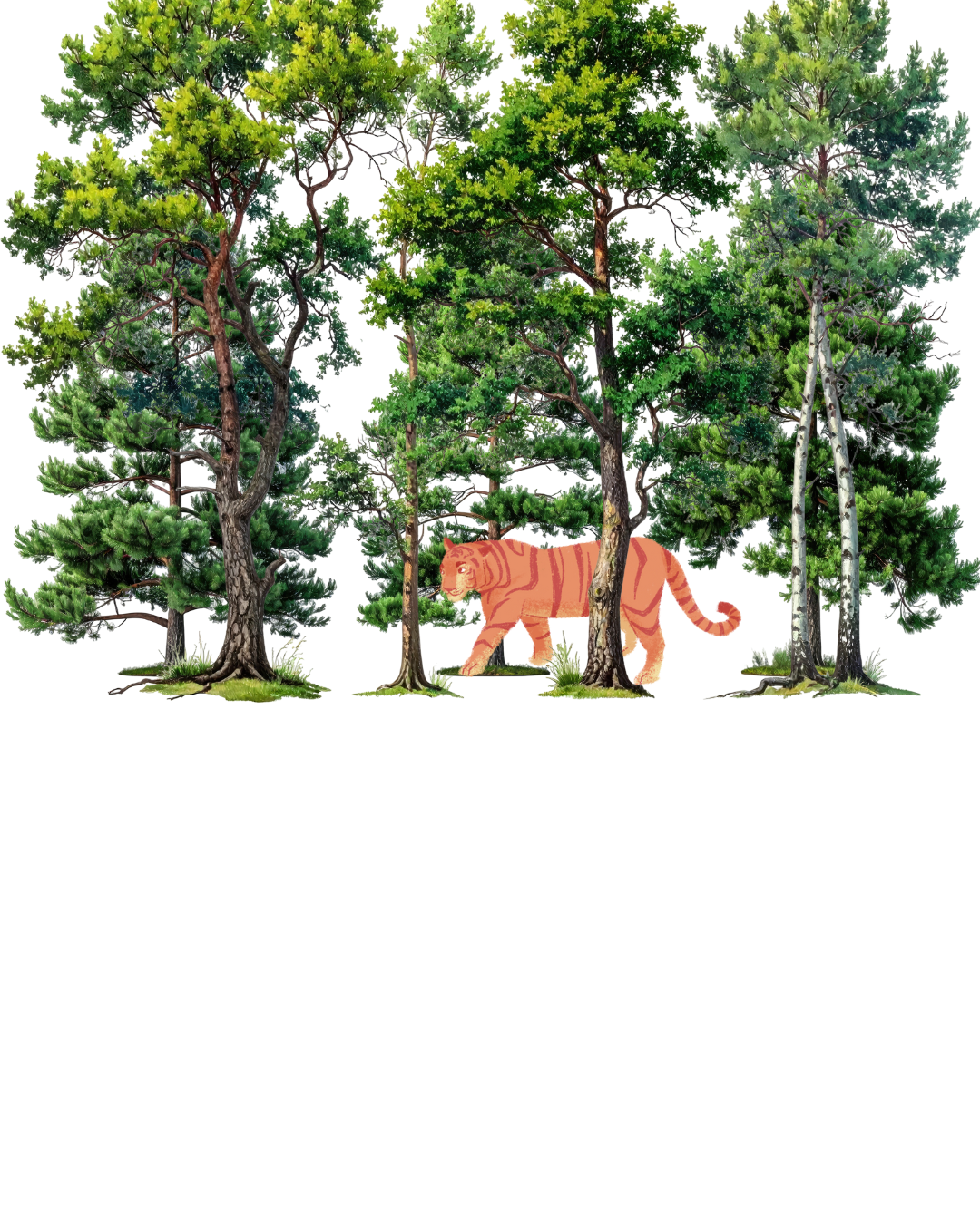 Untitled design-71.png