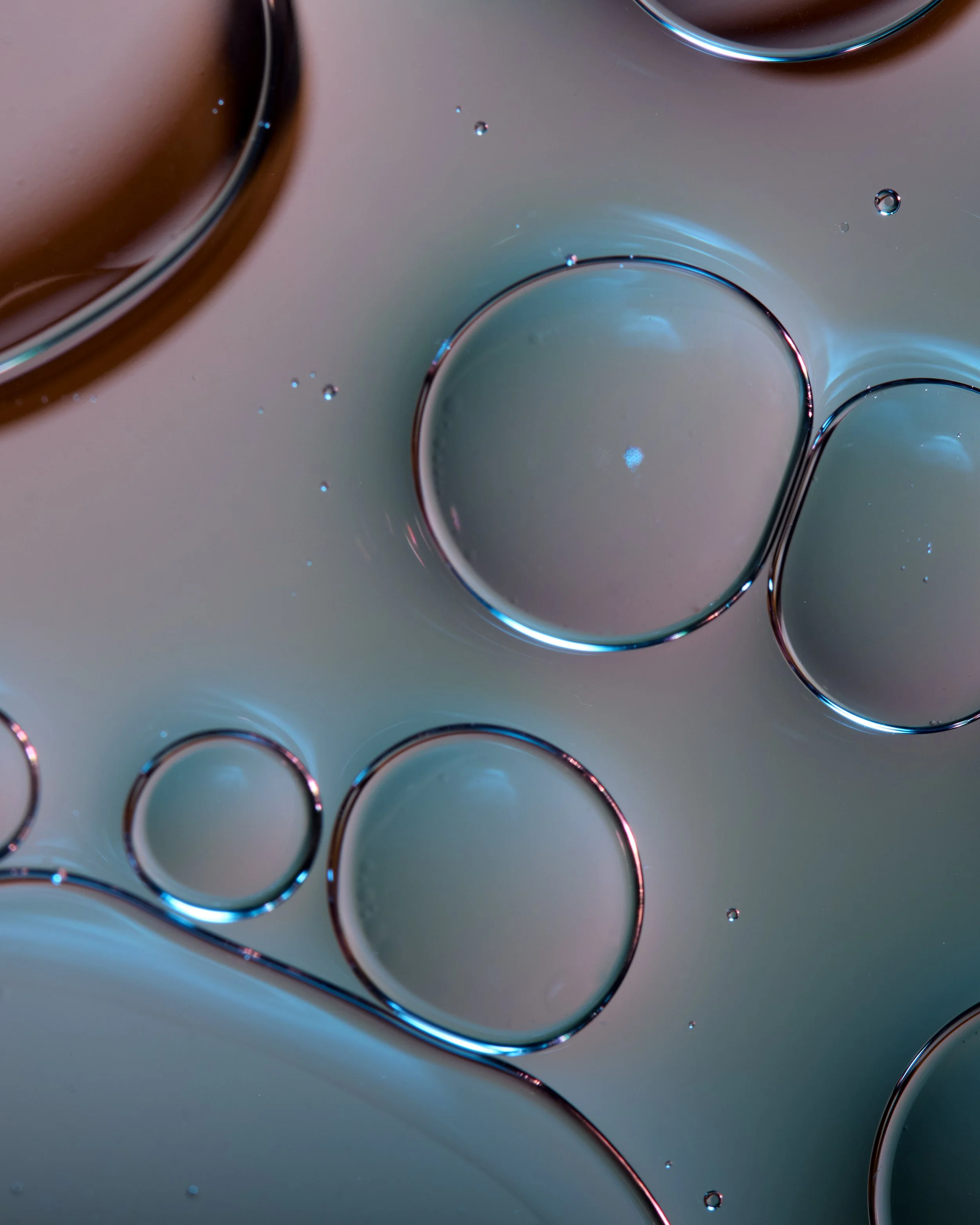 Geled Oils3283.jpg