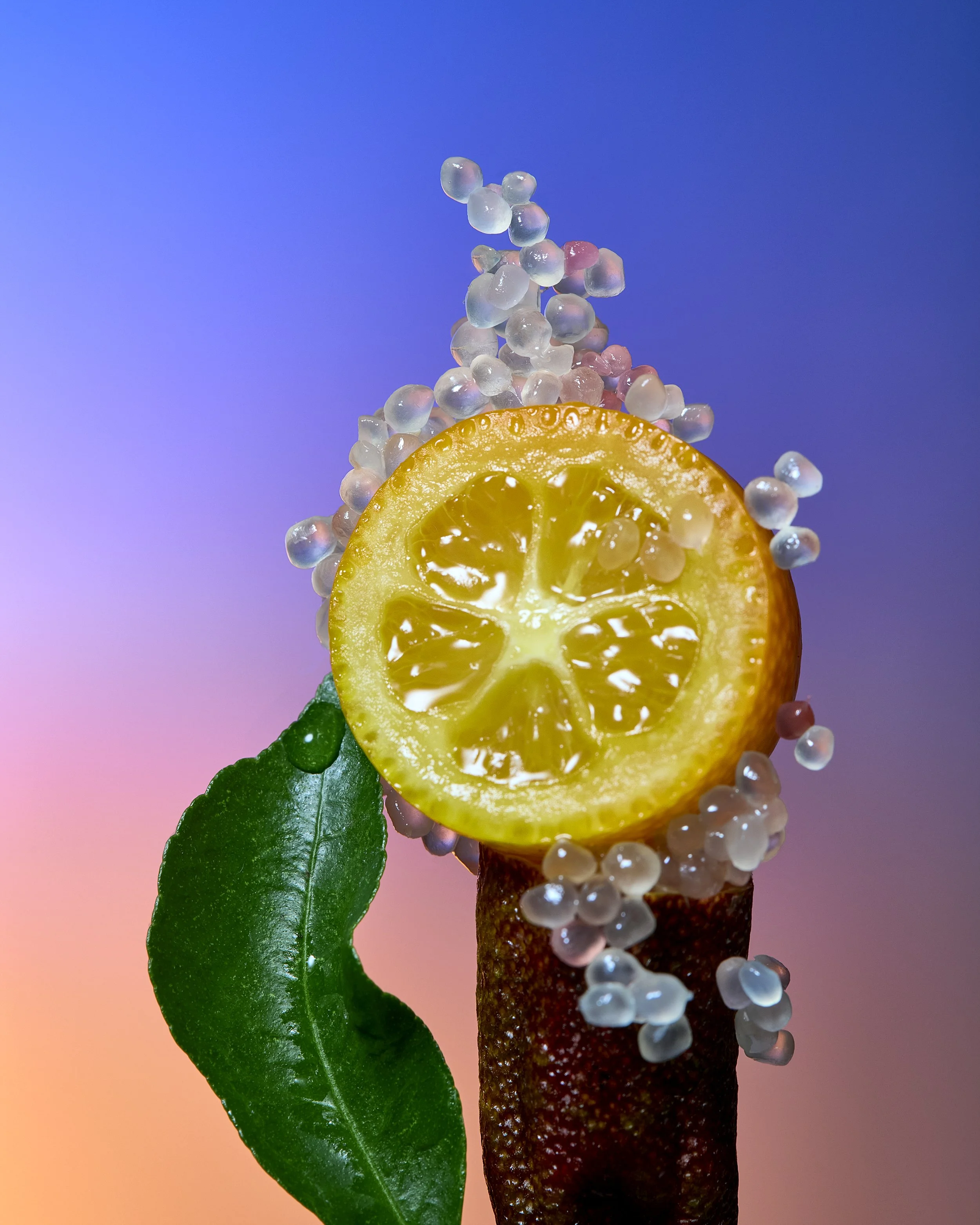 Ingredients5576.jpg