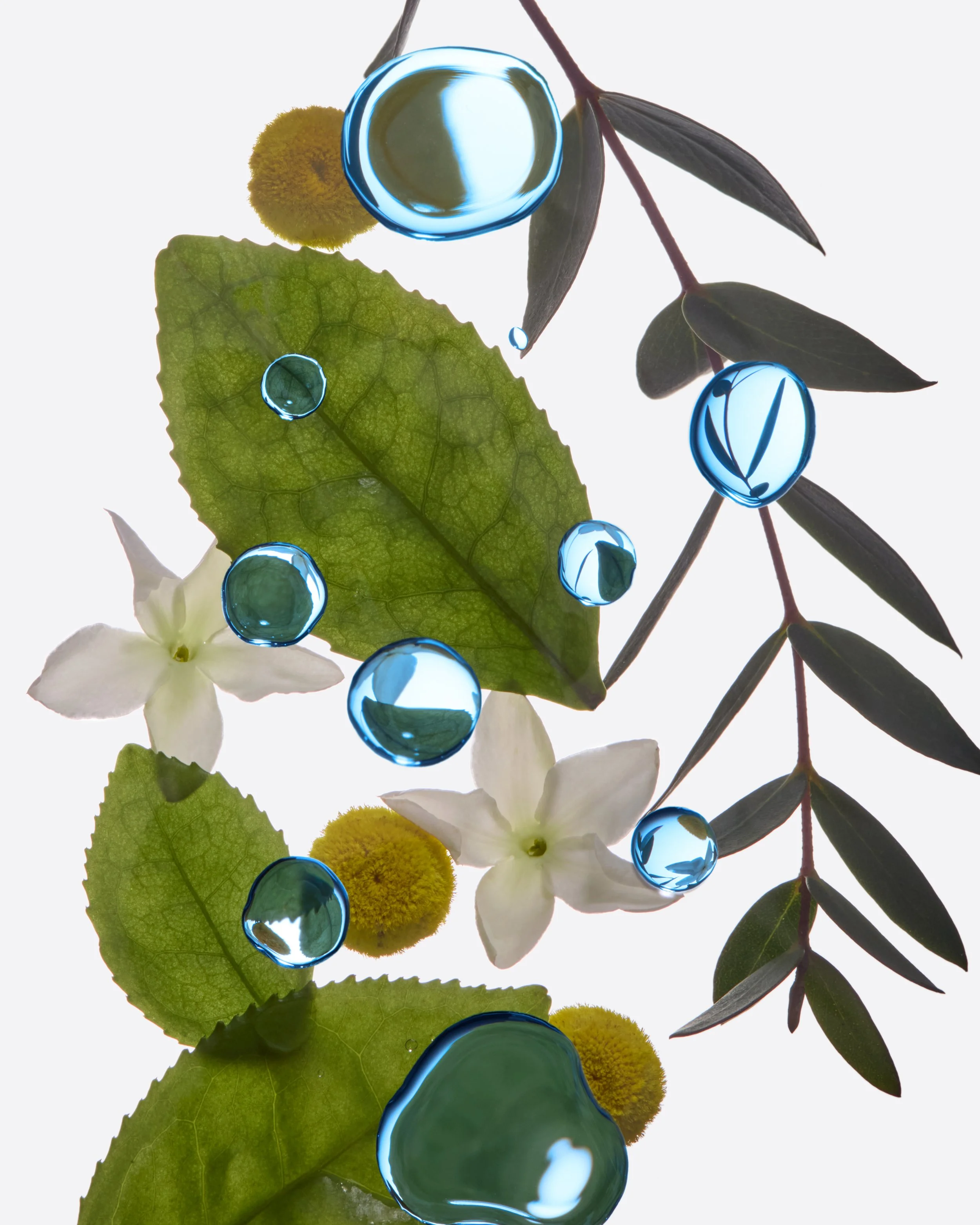 Herbivore Botanicals Lapis V3.jpg