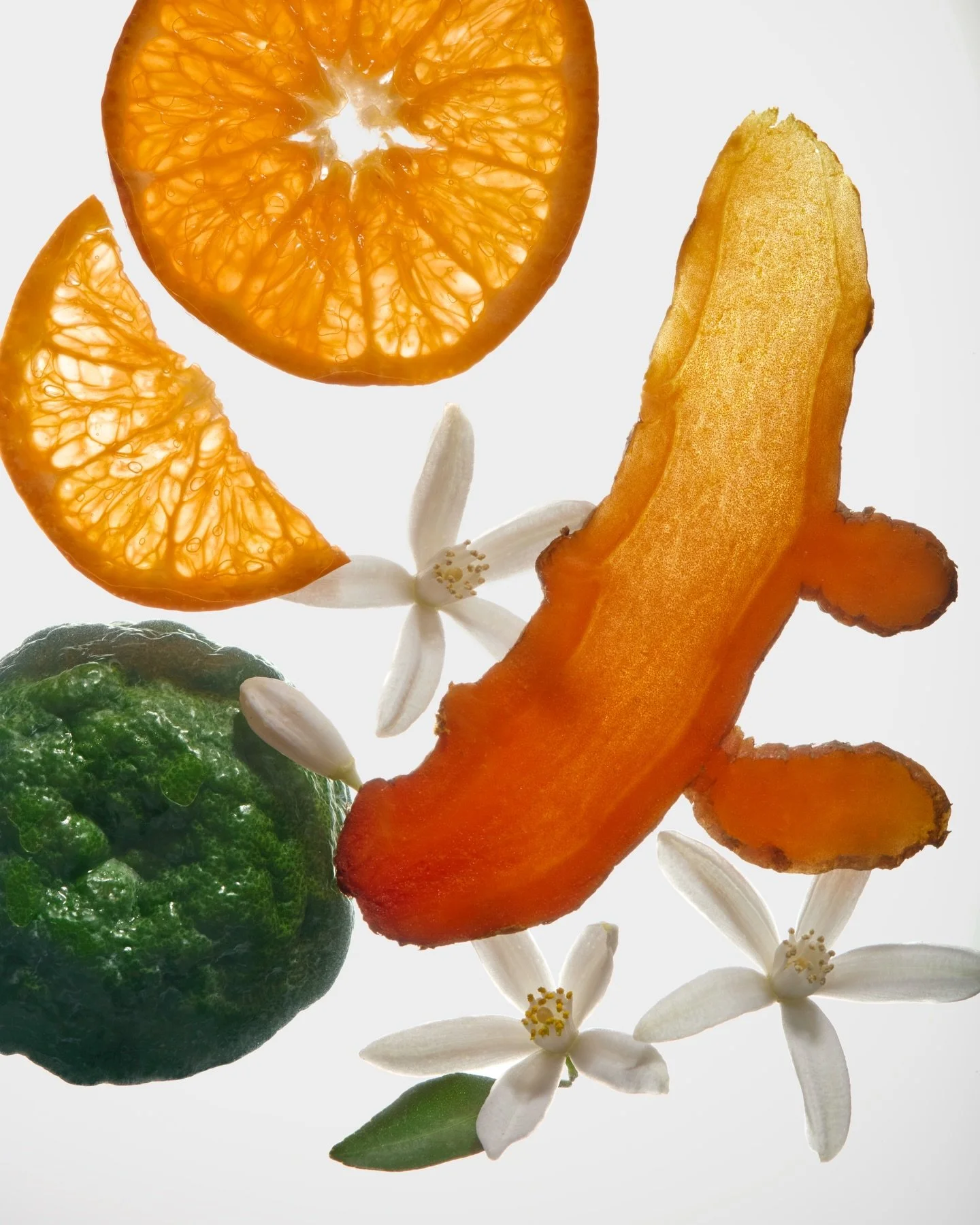 This was one of my favorite projects of 2025, showcasing scent stories for the rebrand of @herbivorebotanicals 

Art Direction by @kearaaprice 
Photography and styling by me 🍊