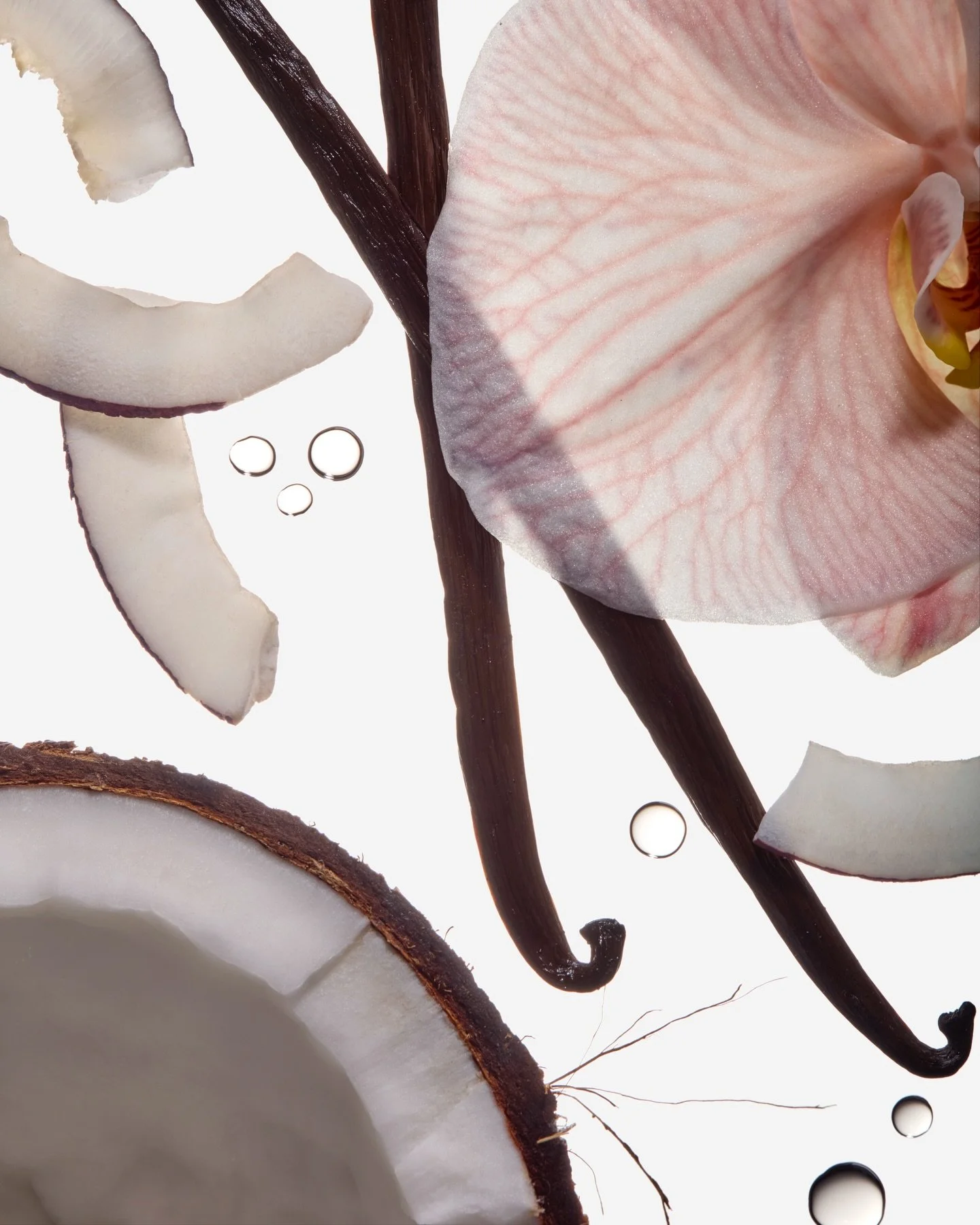 More scent stories for the relaunch of @herbivorebotanicals 

Art Direction @kearaaprice 
Photography and styling by me 🥥