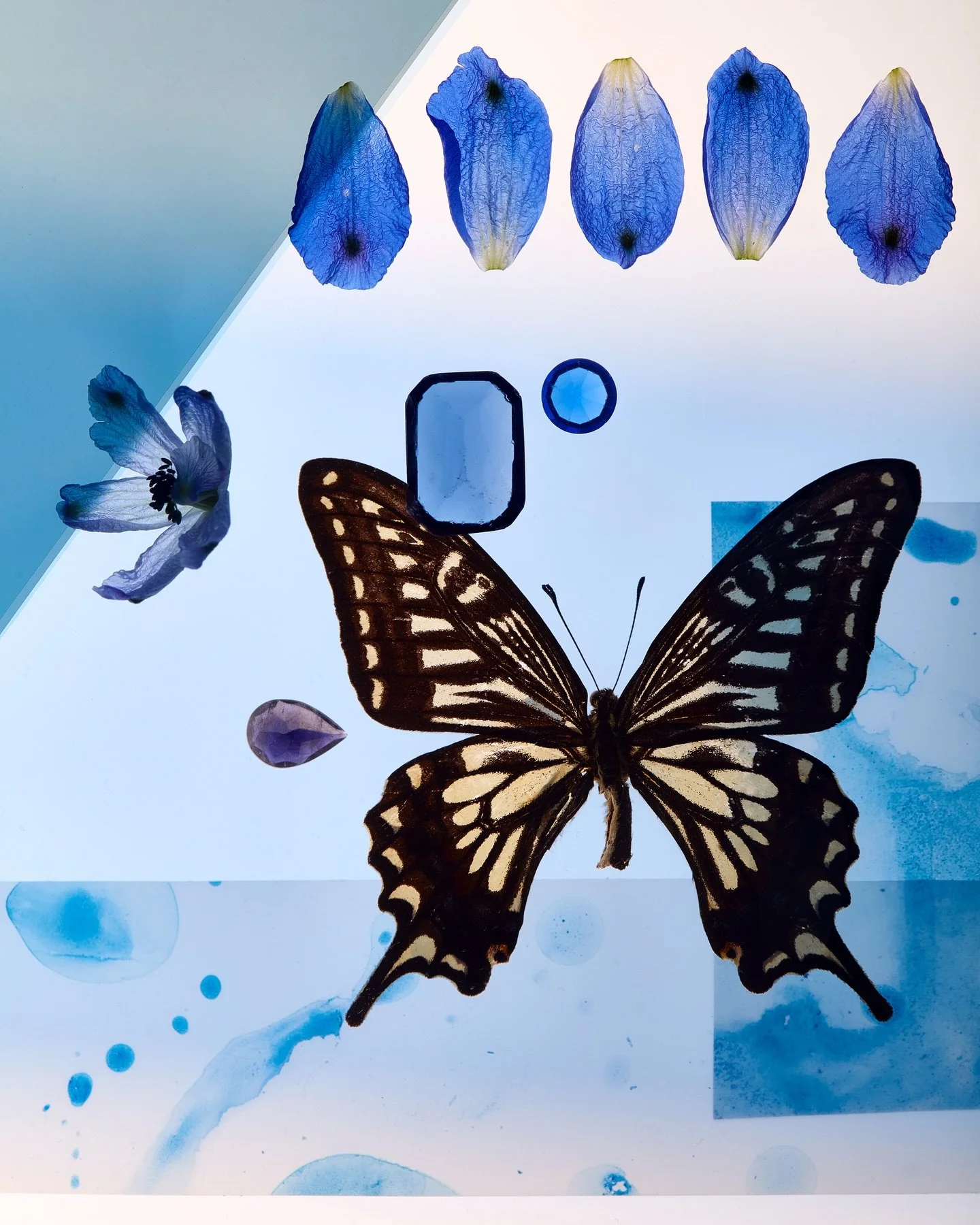 Painted wonders 

An exploration of organic elements juxtaposed with  geometric forms and facets, the first part of a personal series.