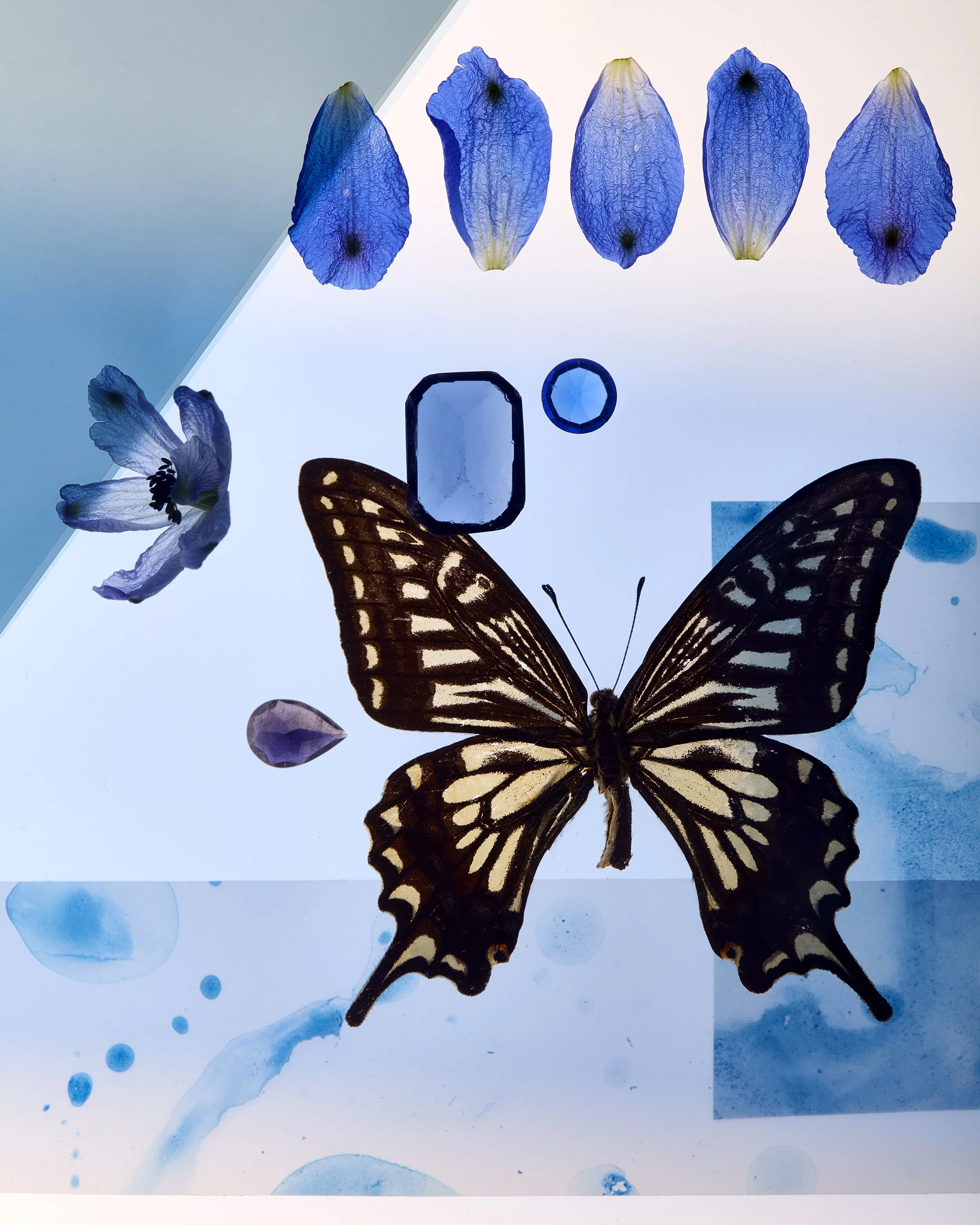 Gemstone Butterfly Colorblock Blue.jpg