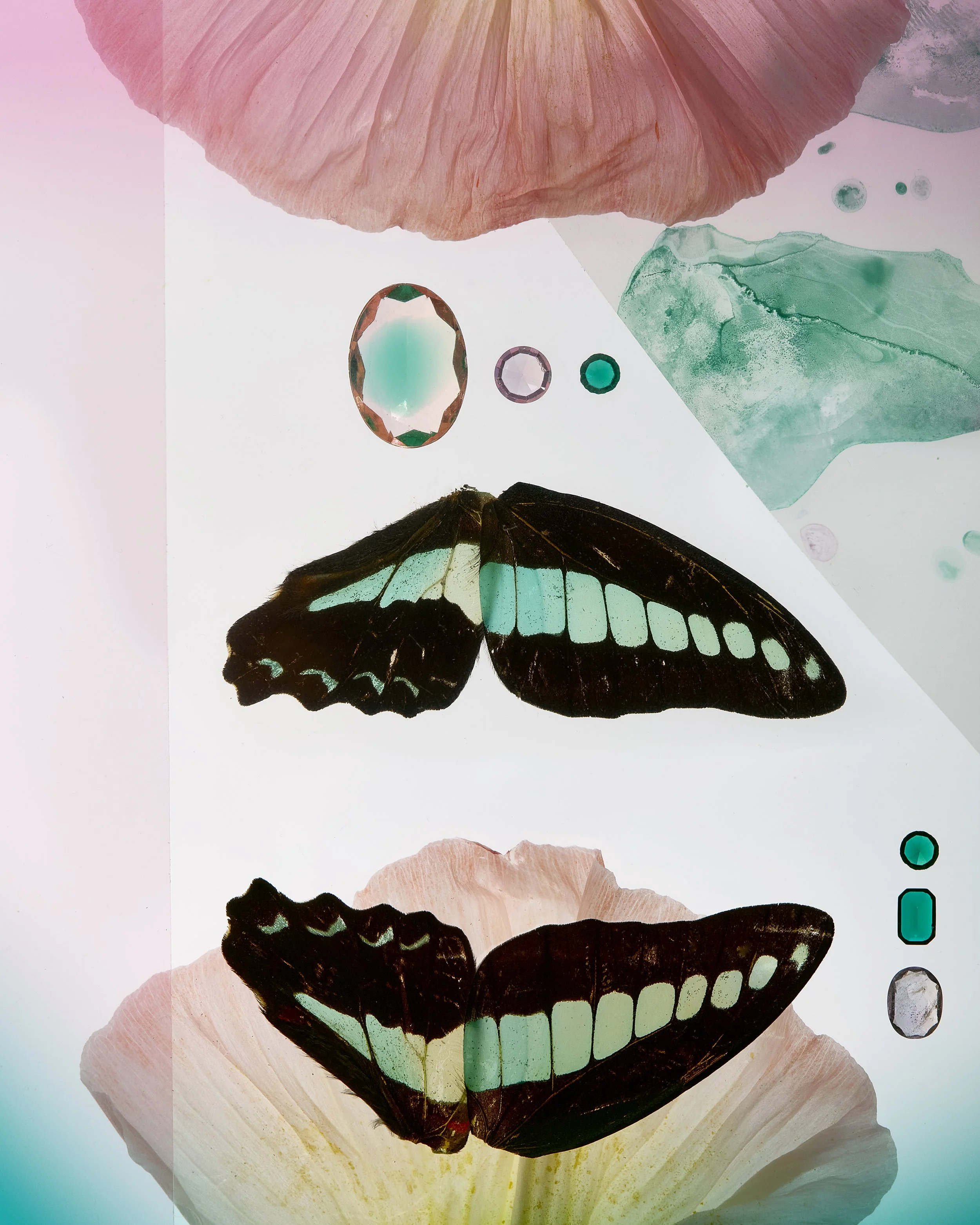 Gemstone Butterfly Colorblock Pink.jpg