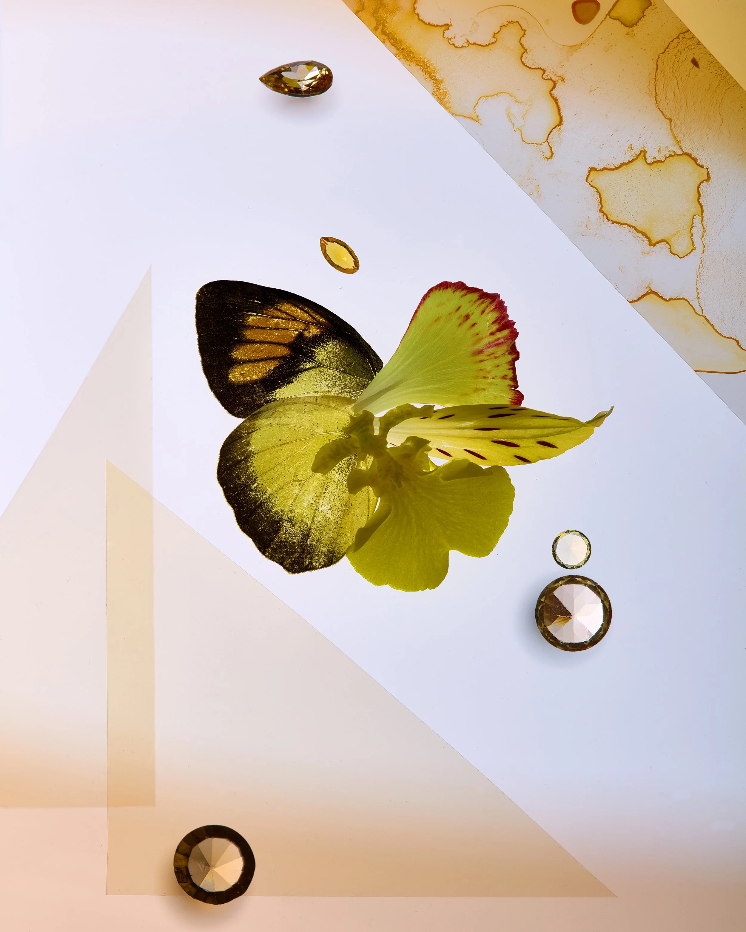 Gemstone Butterfly Colorblock Yellow.jpg