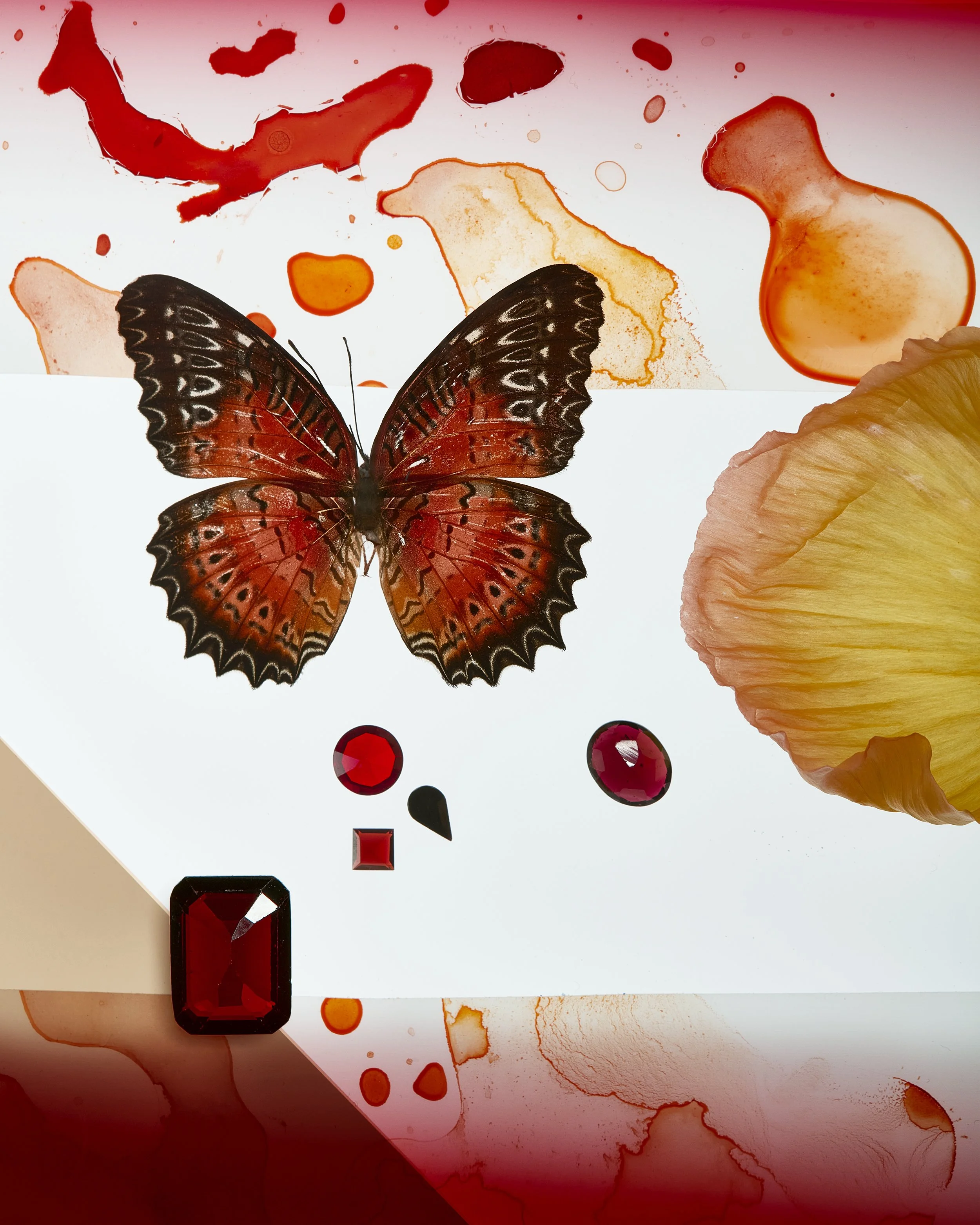 Gemstone Butterfly Colorblock Red.jpg