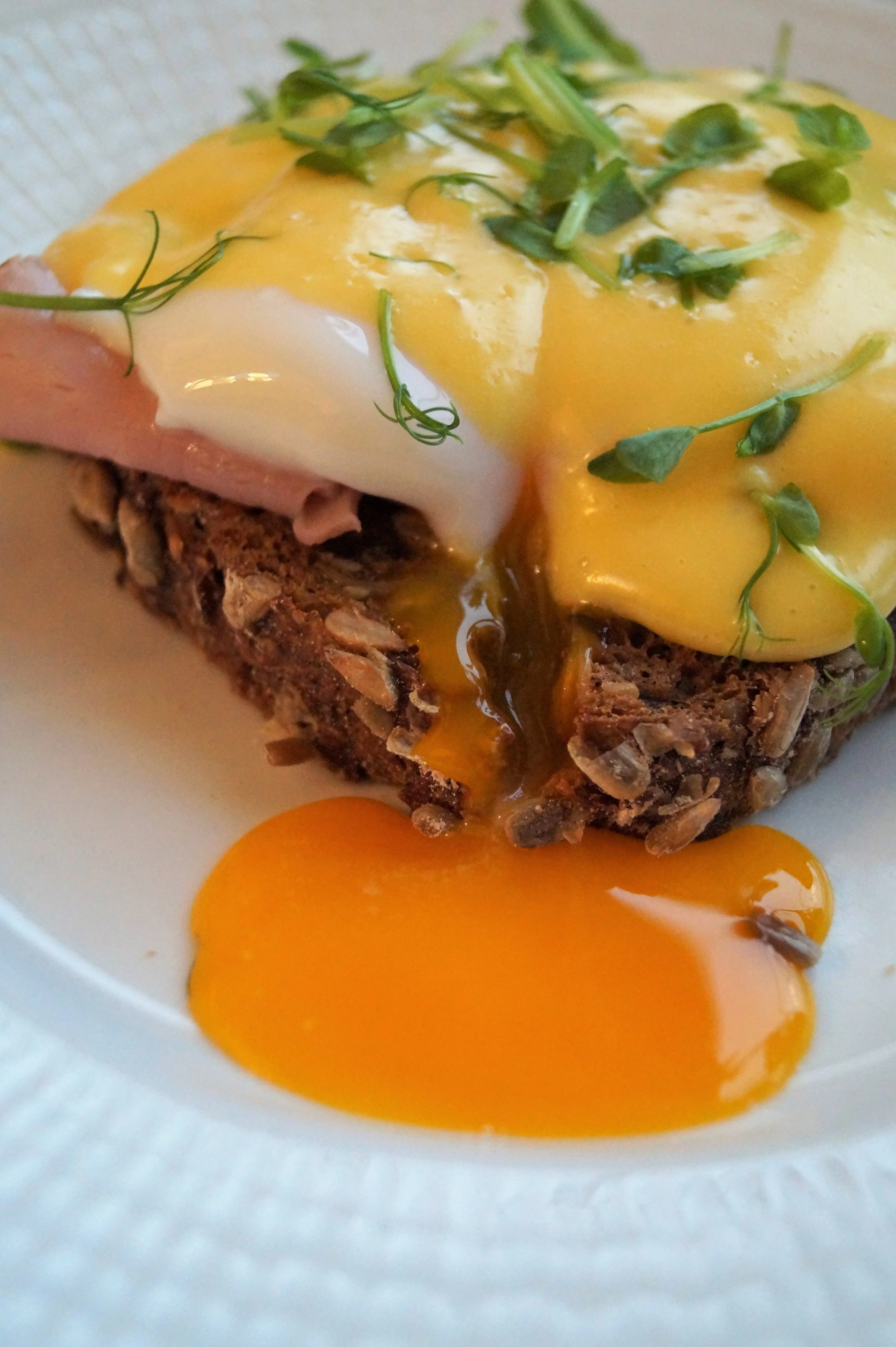 close hollandaise.jpg