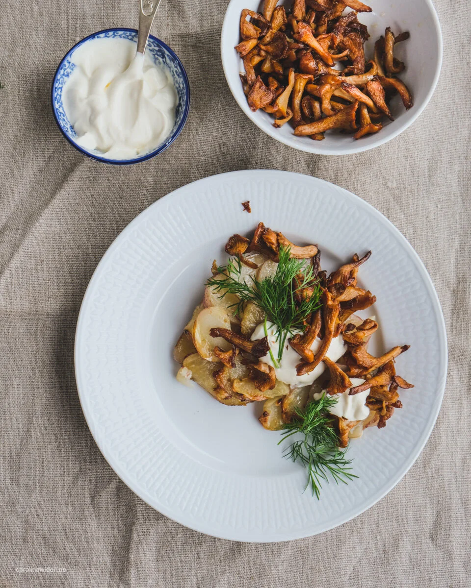 Pommes Anna med smørstekte kantareller
