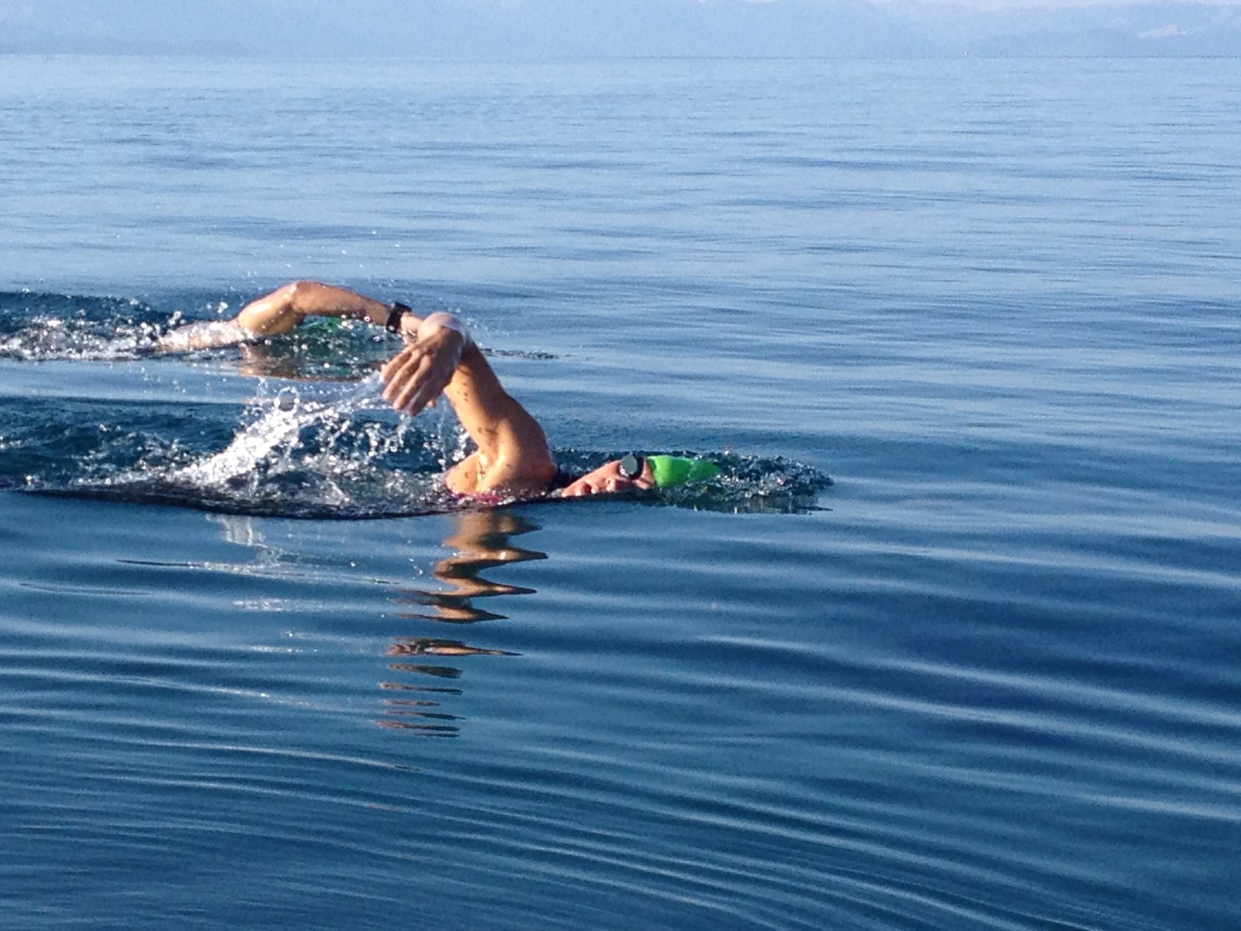 open-water-swimming.jpg
