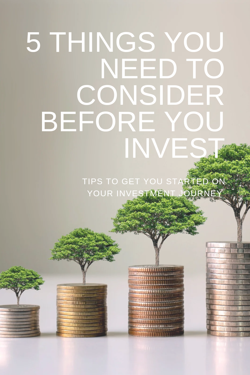 5 Things You Need To Consider Before You Invest — As Told By Nella ...
